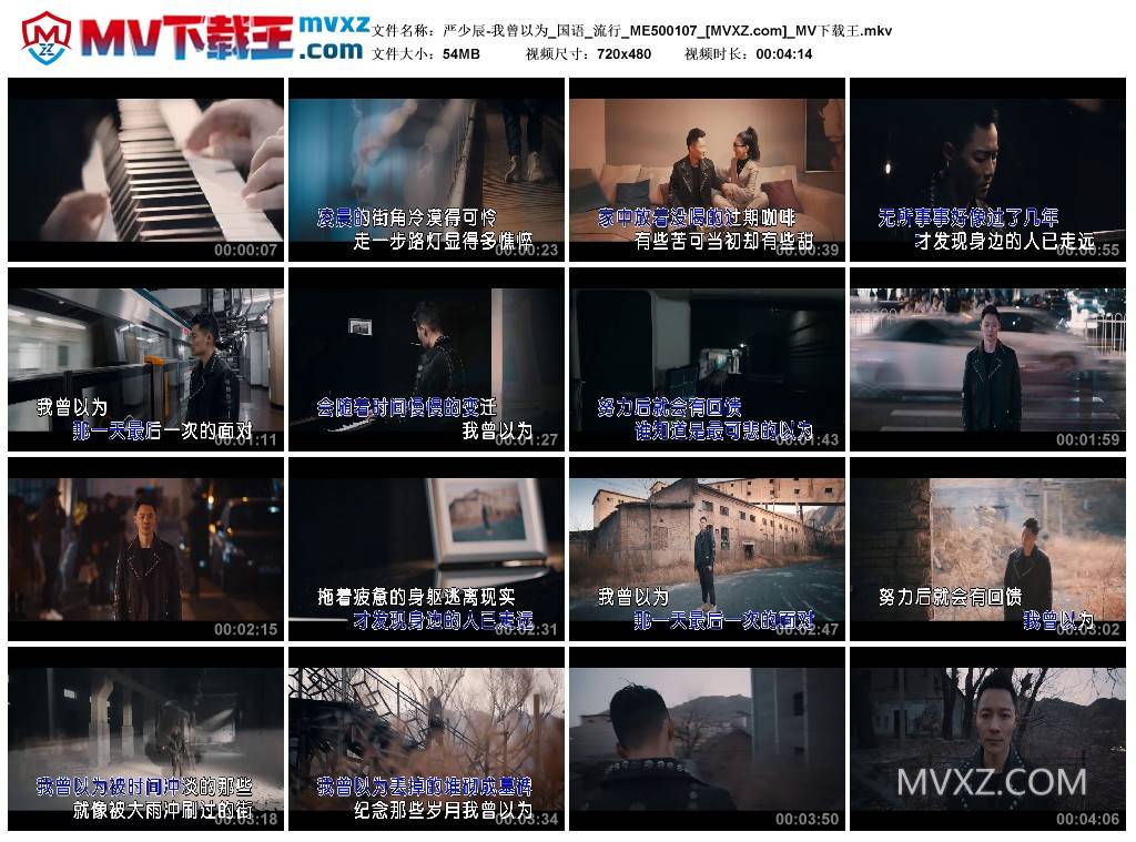 严少辰-我曾以为_国语_流行_ME500107